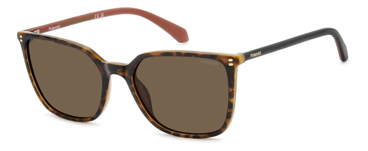 Polaroid Core PLD4209 Sunglasses - view 3